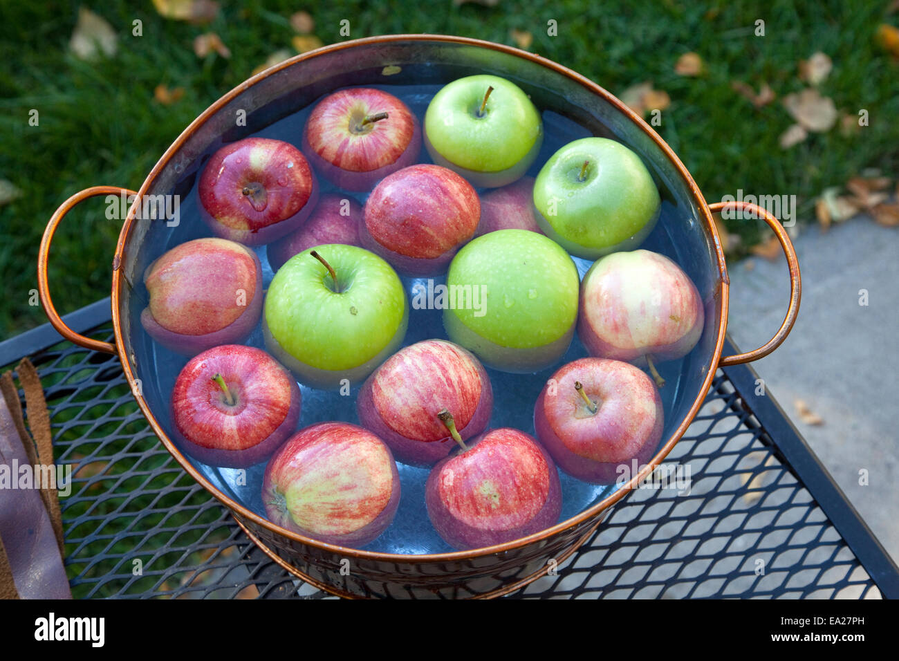 Apples in a tub of water ready for party game bobbing for apples. St