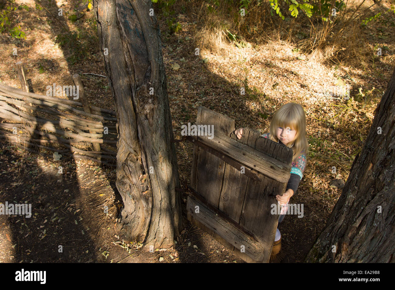 High angle view of a young blond girl playing with an old wooden gate between two trees in a garden looking up at the camera Stock Photo