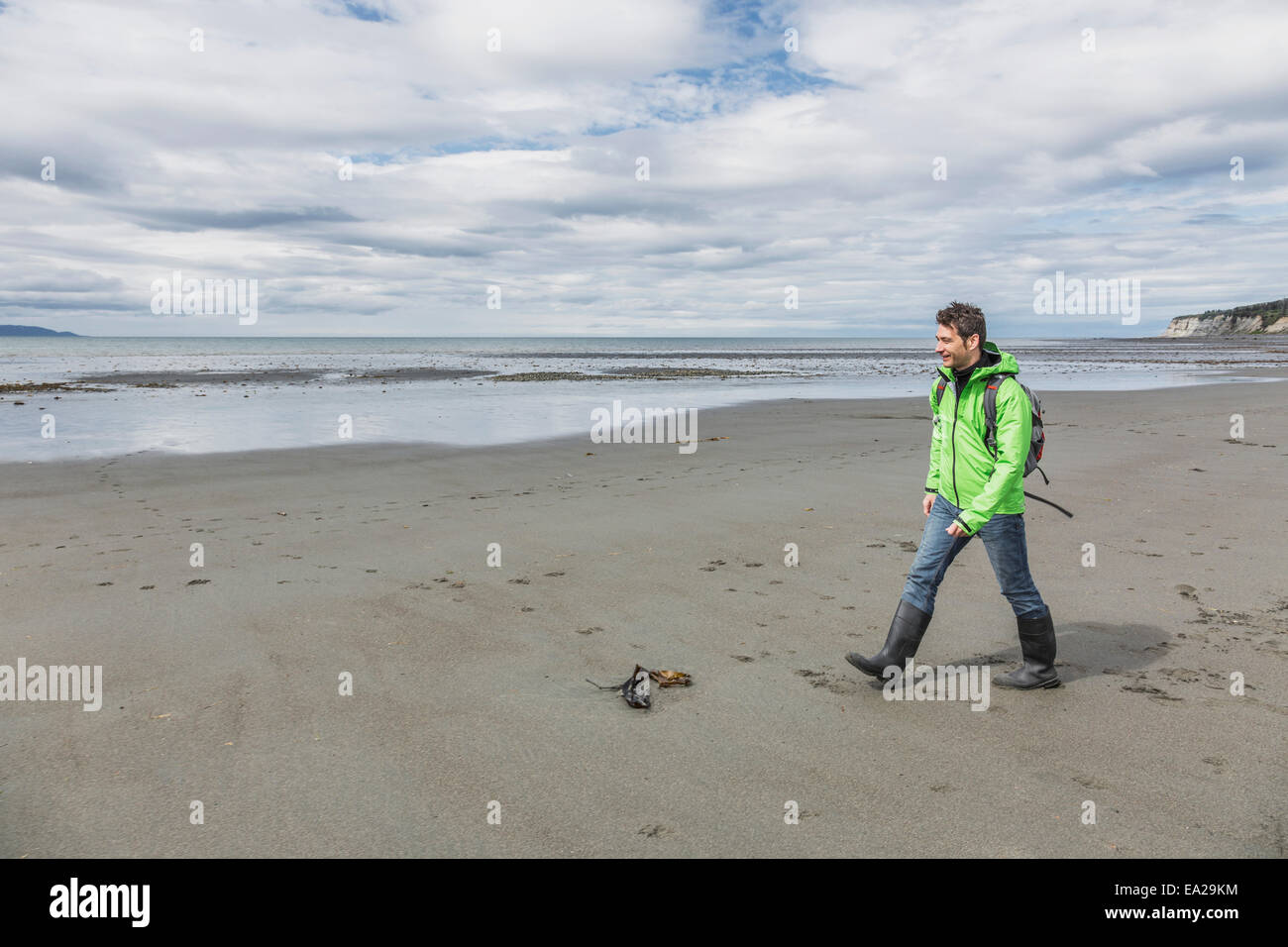 Man walking at low tide on Bishop's Beach, Kachemak Bay, Homer, Southcentral Alaska Stock Photo