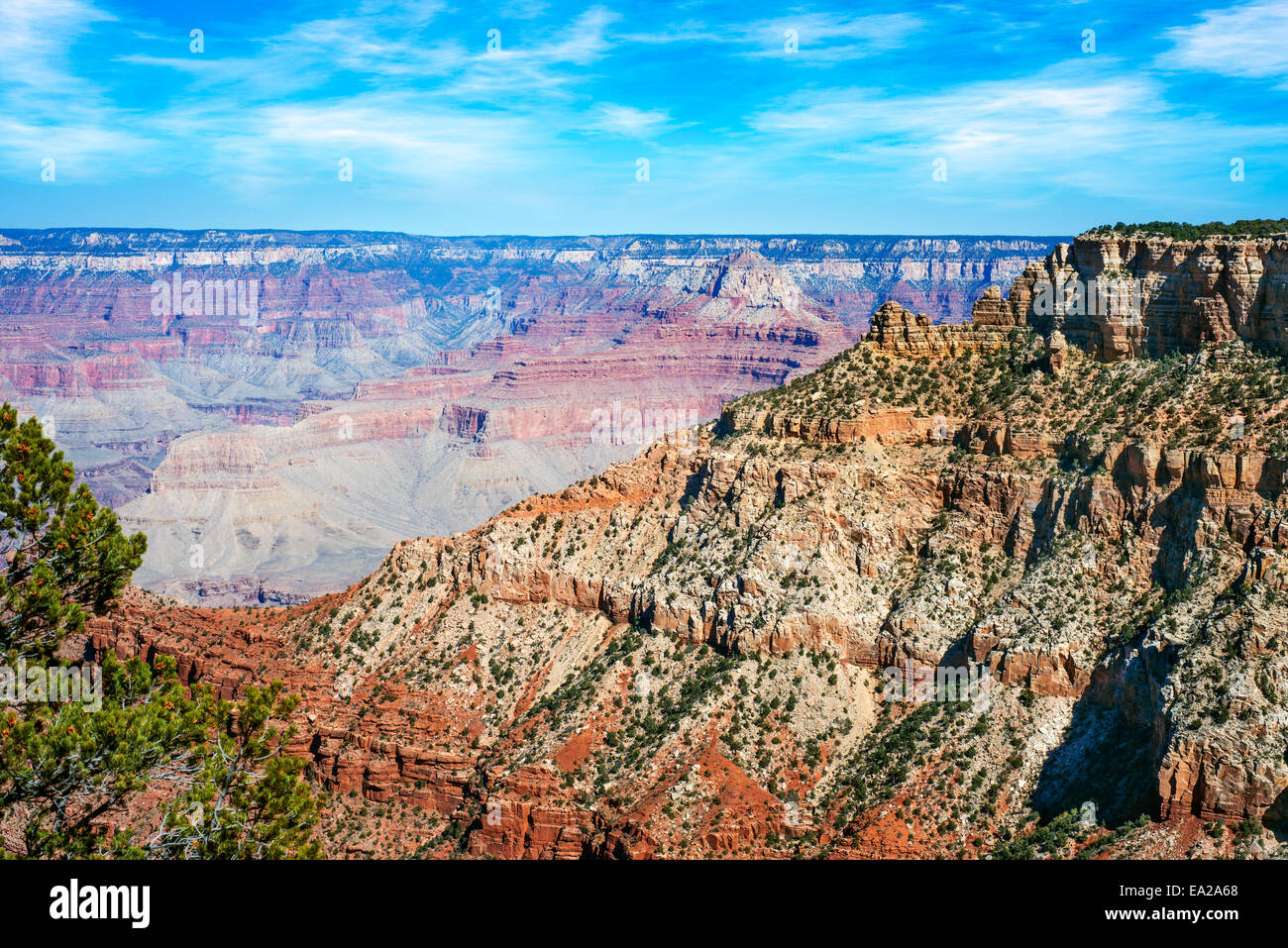 View from the south rim of the Grand Canyon on a beautiful sunny day Stock Photo