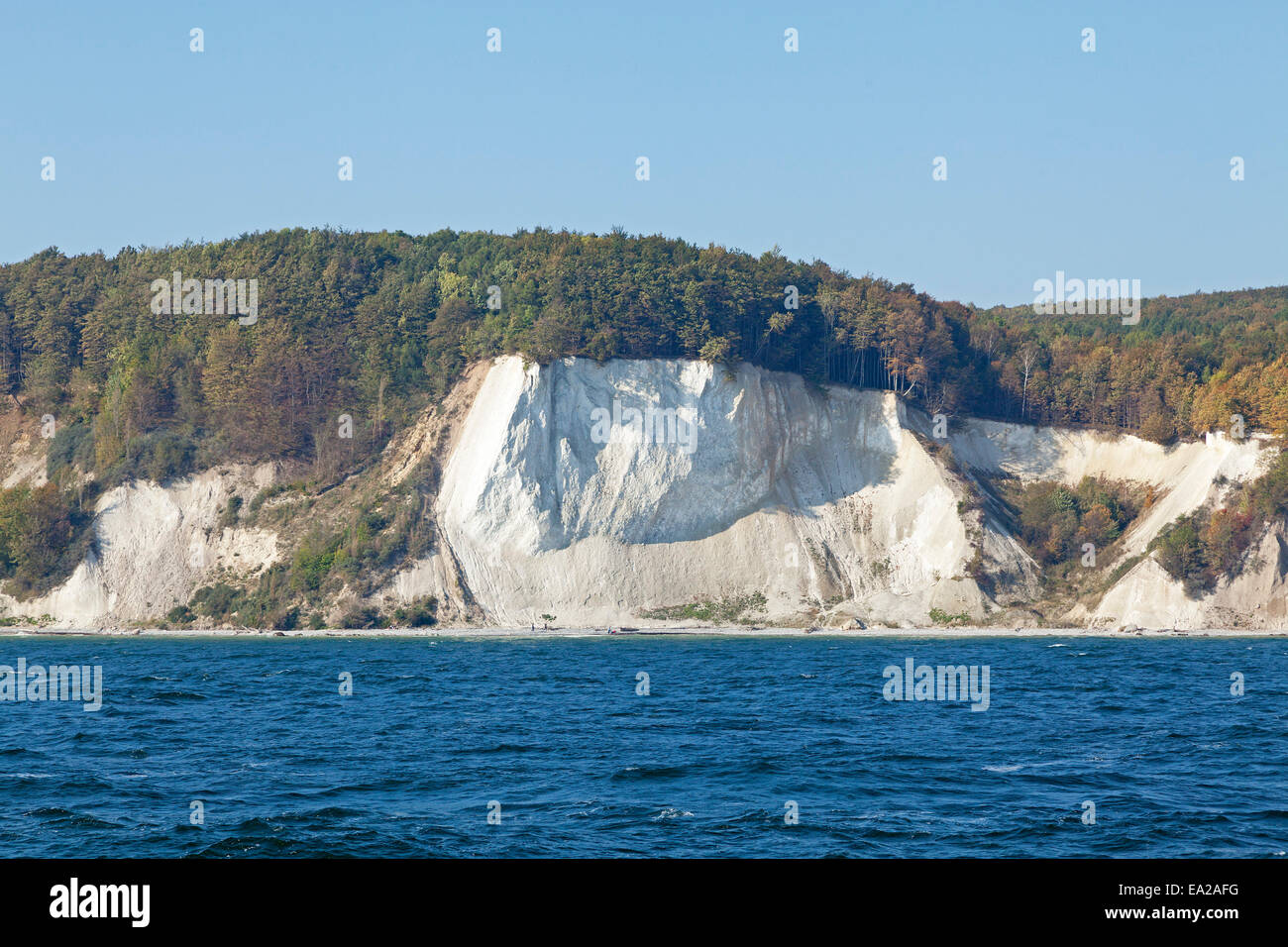 German Cliffs chalk cliffs, National Park Jasmund, Ruegen Island, Mecklenburg-West ...