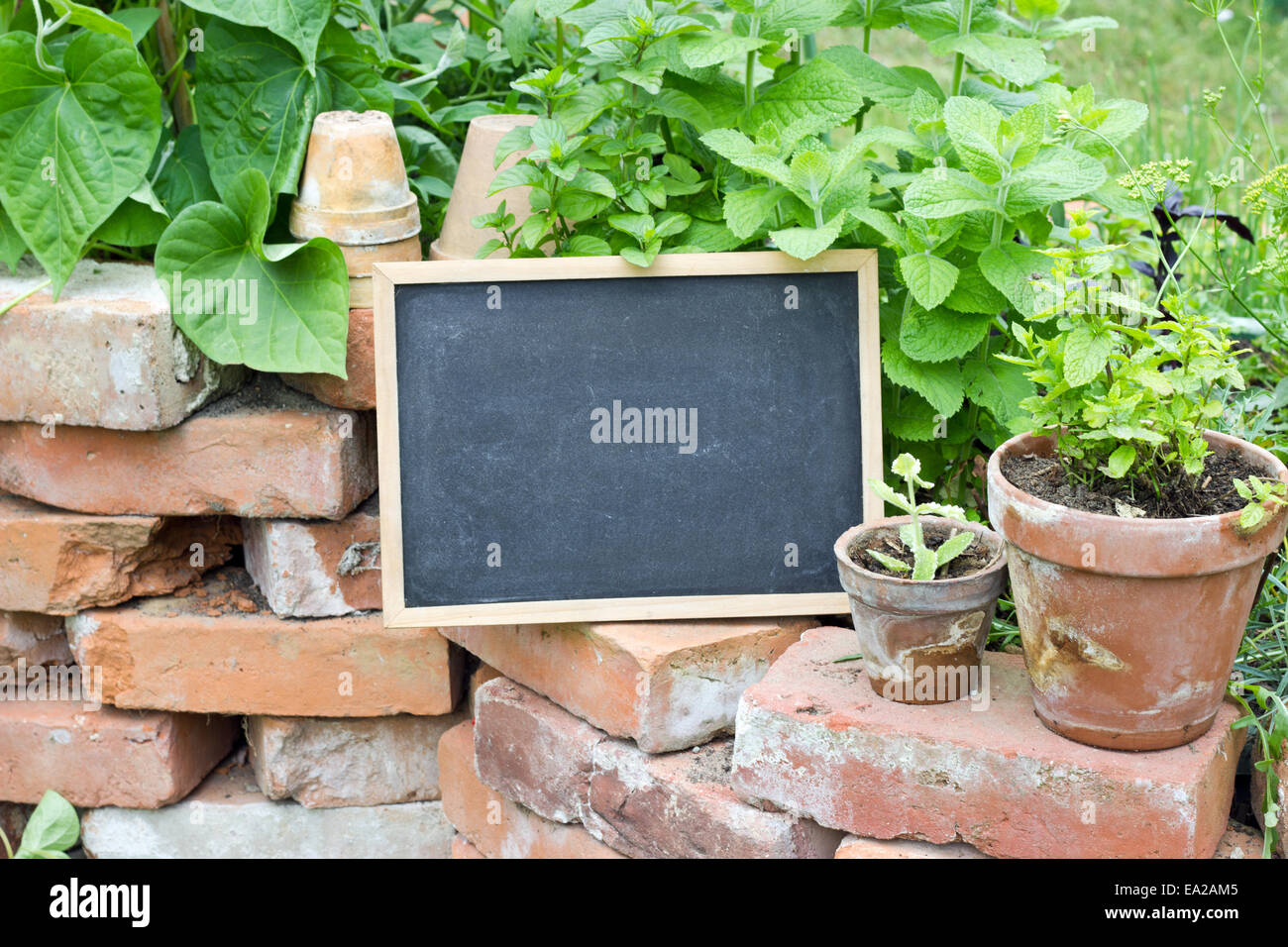 herbs with chalkboard and flower pots Stock Photo