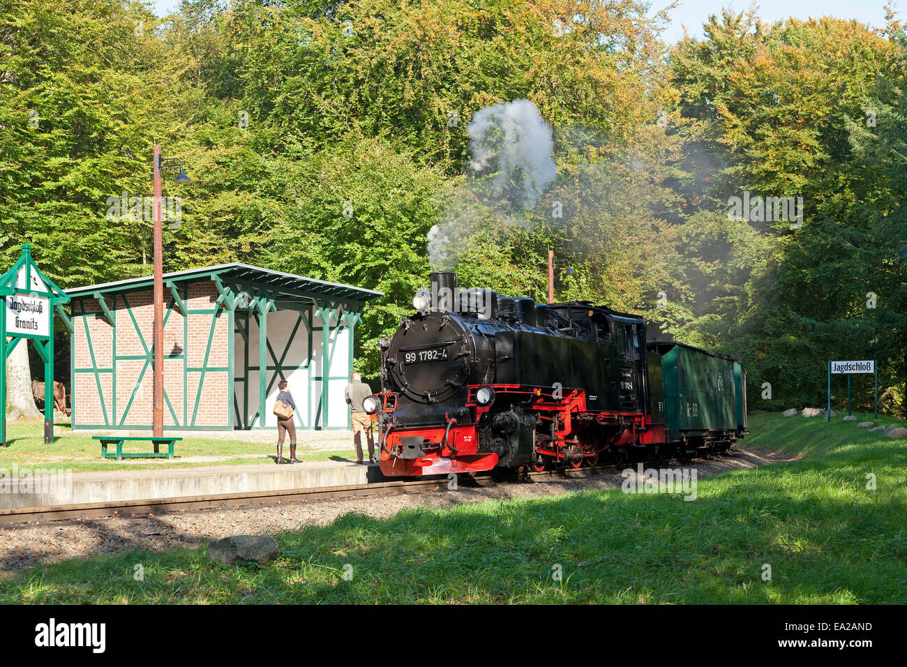 steam train "Rasender Roland" at train station of hunting lodge Granitz, Ruegen Island, Mecklenburg-West Pomerania, Germany Stock Photo