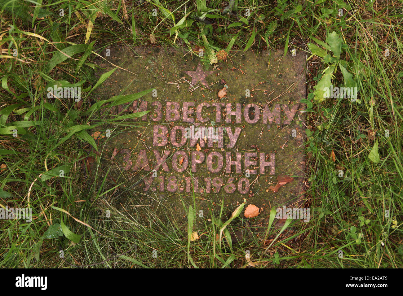 Grave of an unknown Soviet soldier fallen in World War II at the Soviet Garrison Cemetery in Dresden, Saxony, Germany. Stock Photo