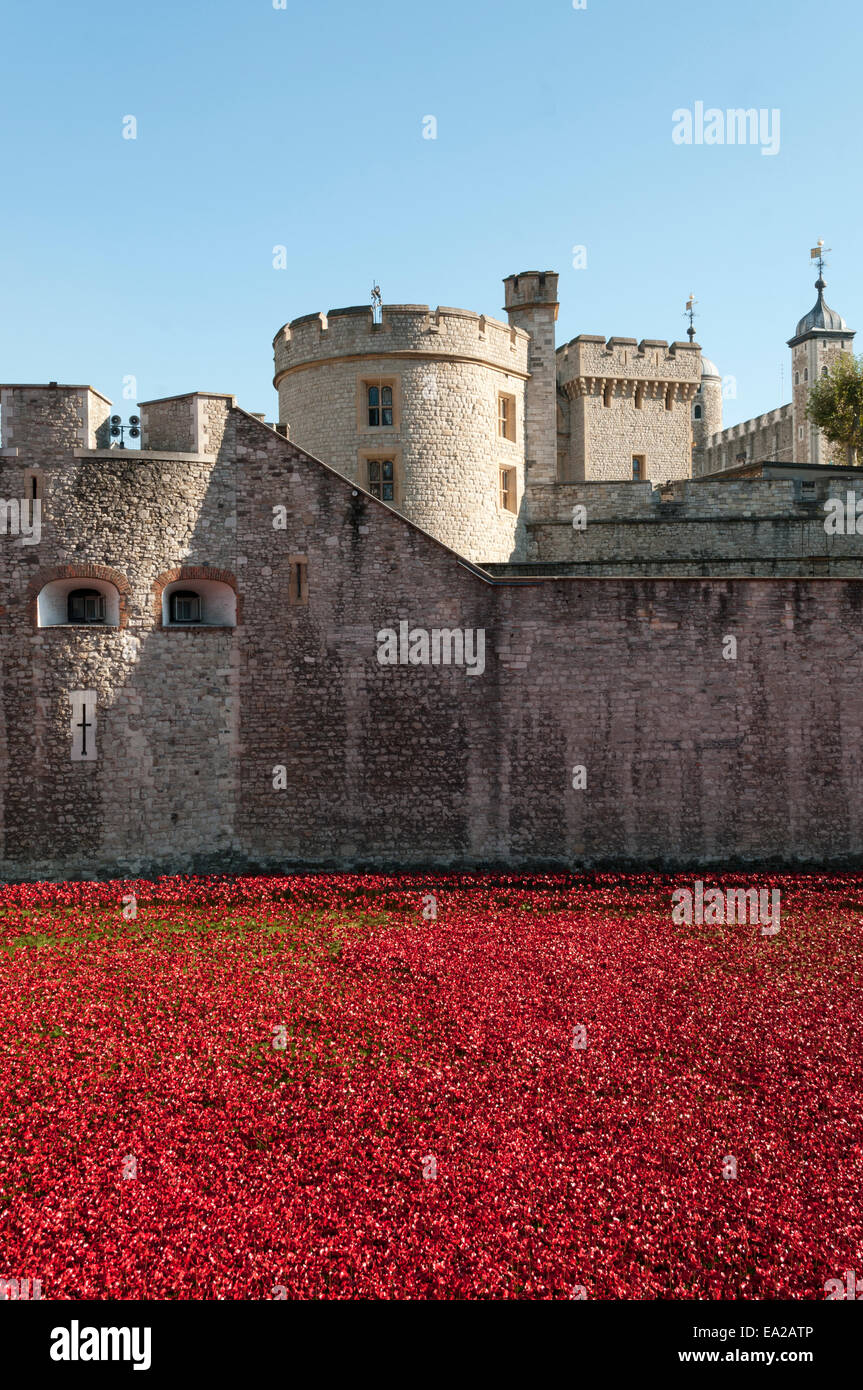 Tower of London Poppies art exhibition 2014 Stock Photo