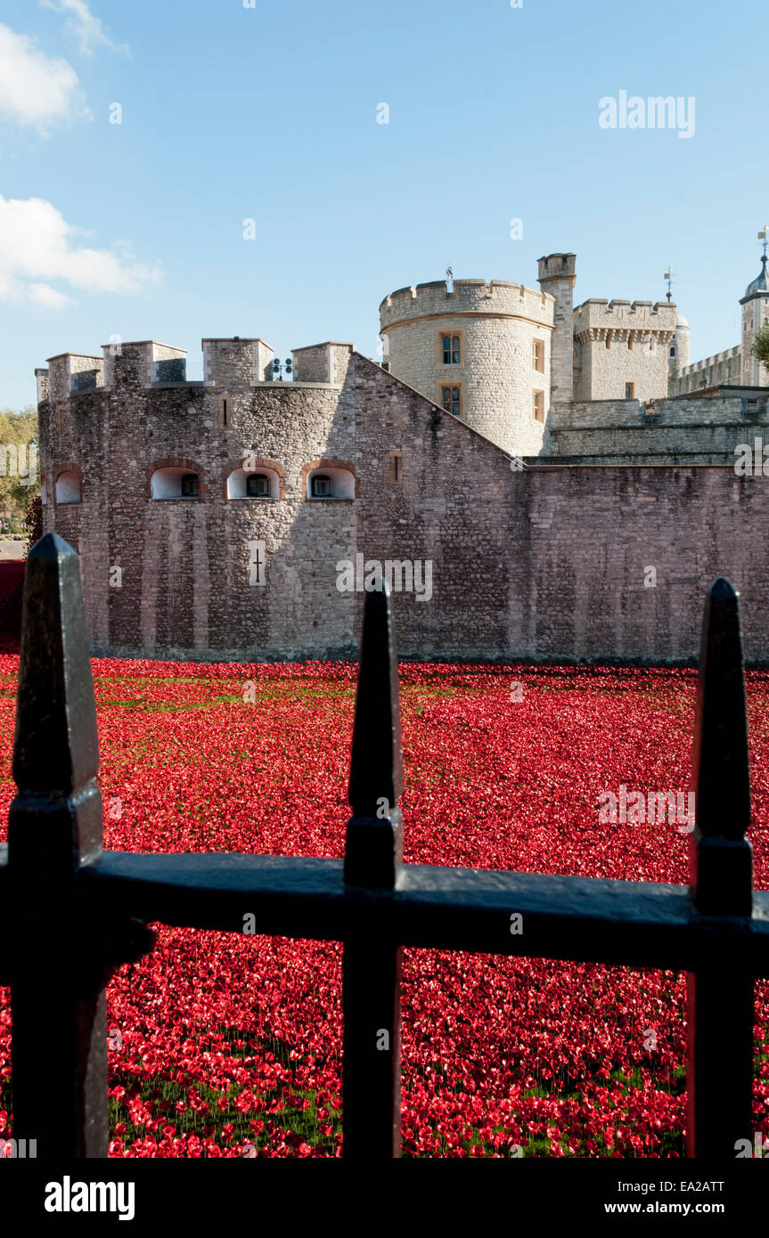 Tower of London Poppies art exhibition 2014 Stock Photo