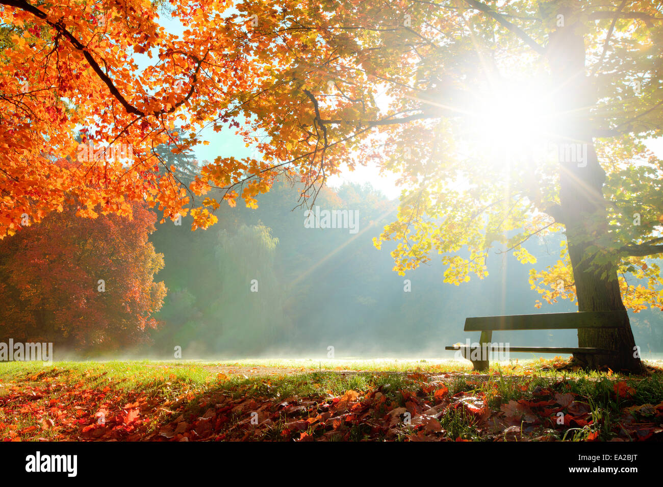 Rural autumn park view in beautiful color mood Stock Photo