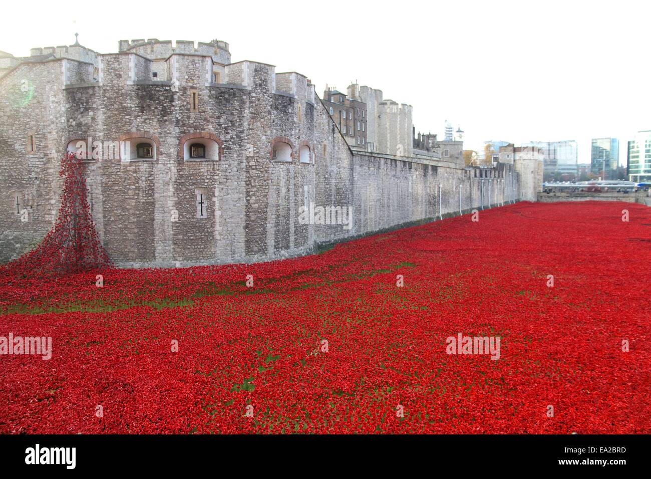 Remembrance day poppy london hi-res stock photography and images - Alamy