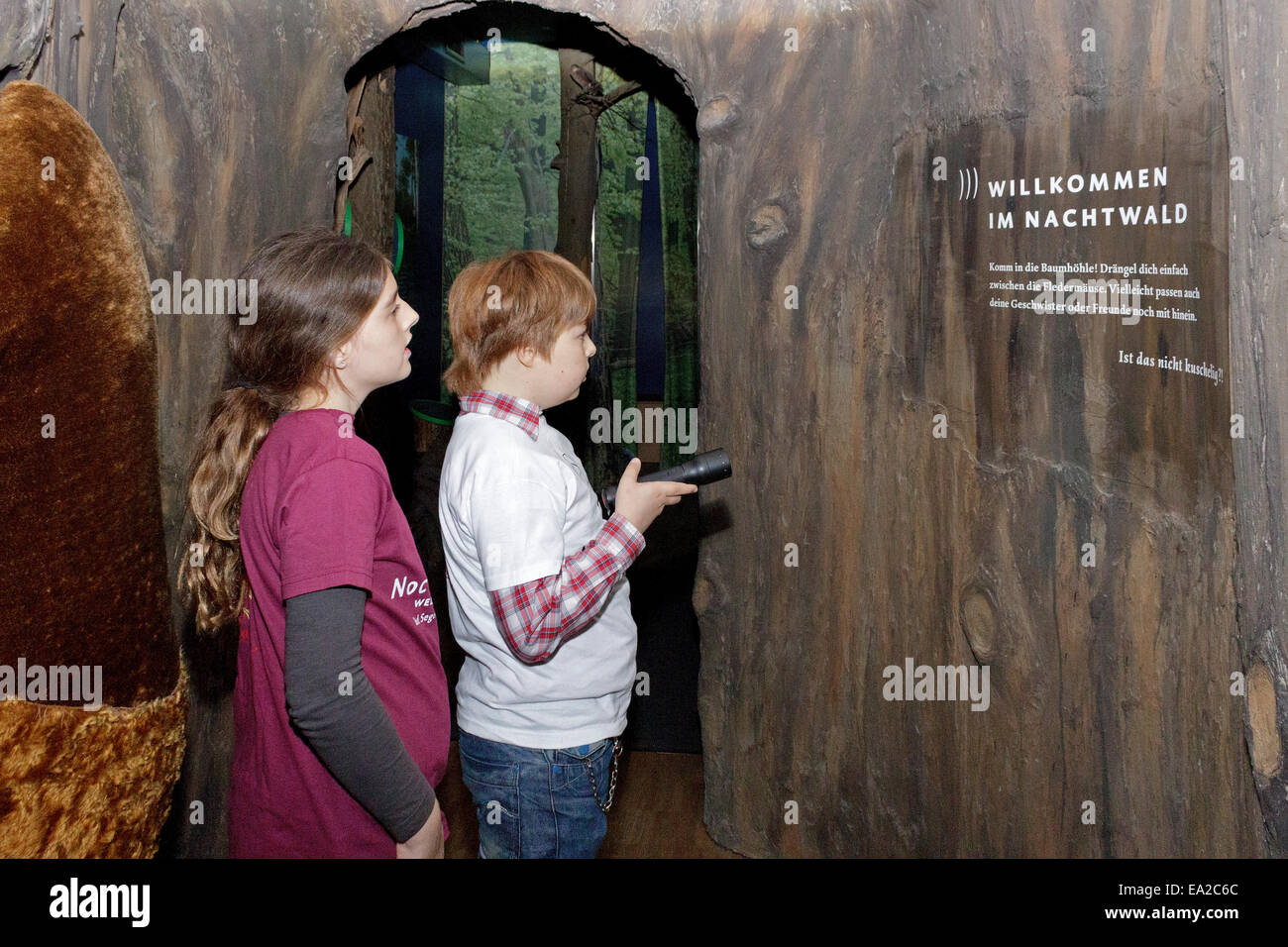 young boy and girl at the bat centre 'Noctalis', Bad Segeberg, Schleswig-Holstein, Germany Stock Photo