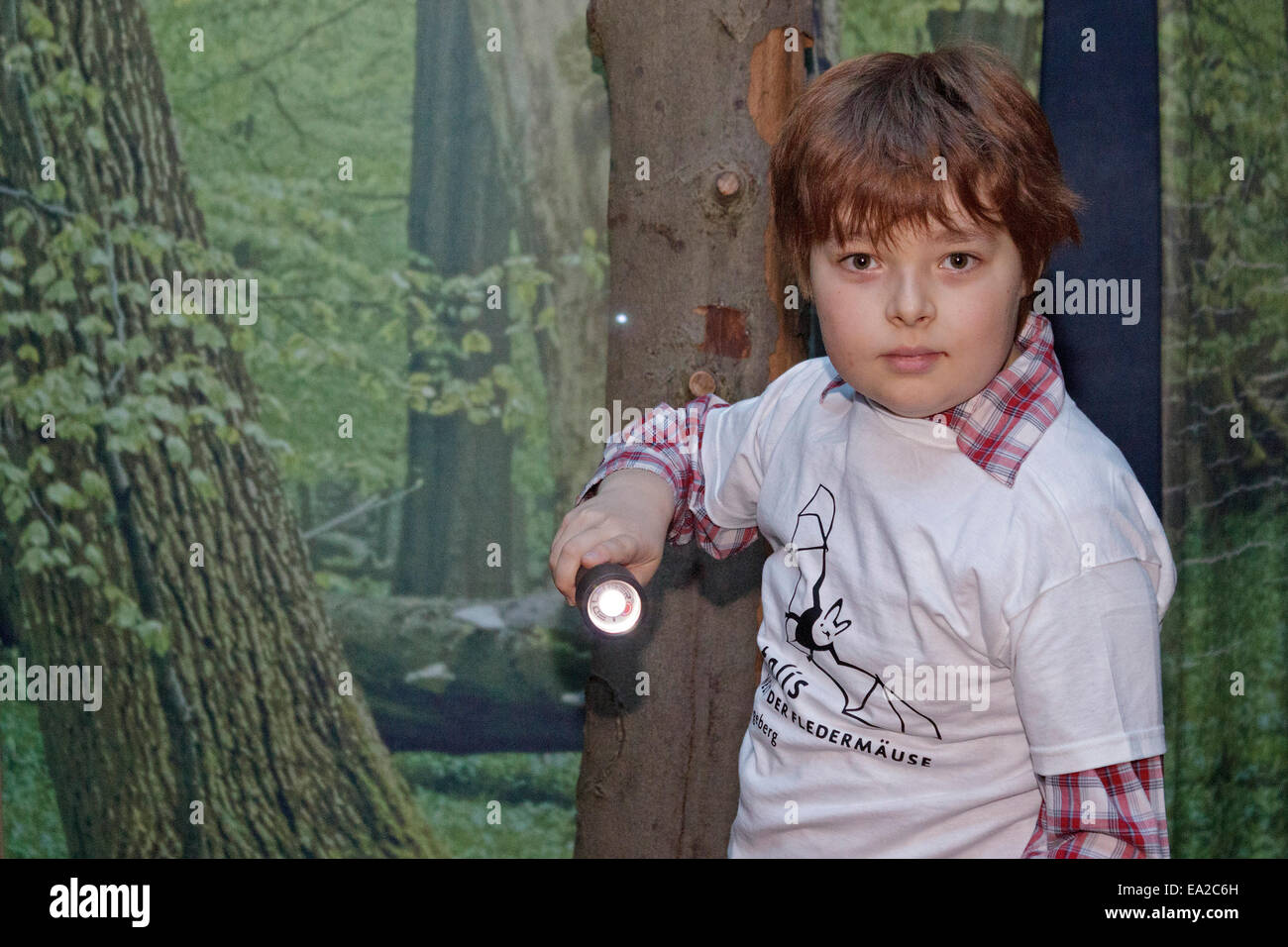 young boy at the bat centre 'Noctalis', Bad Segeberg, Schleswig-Holstein, Germany Stock Photo