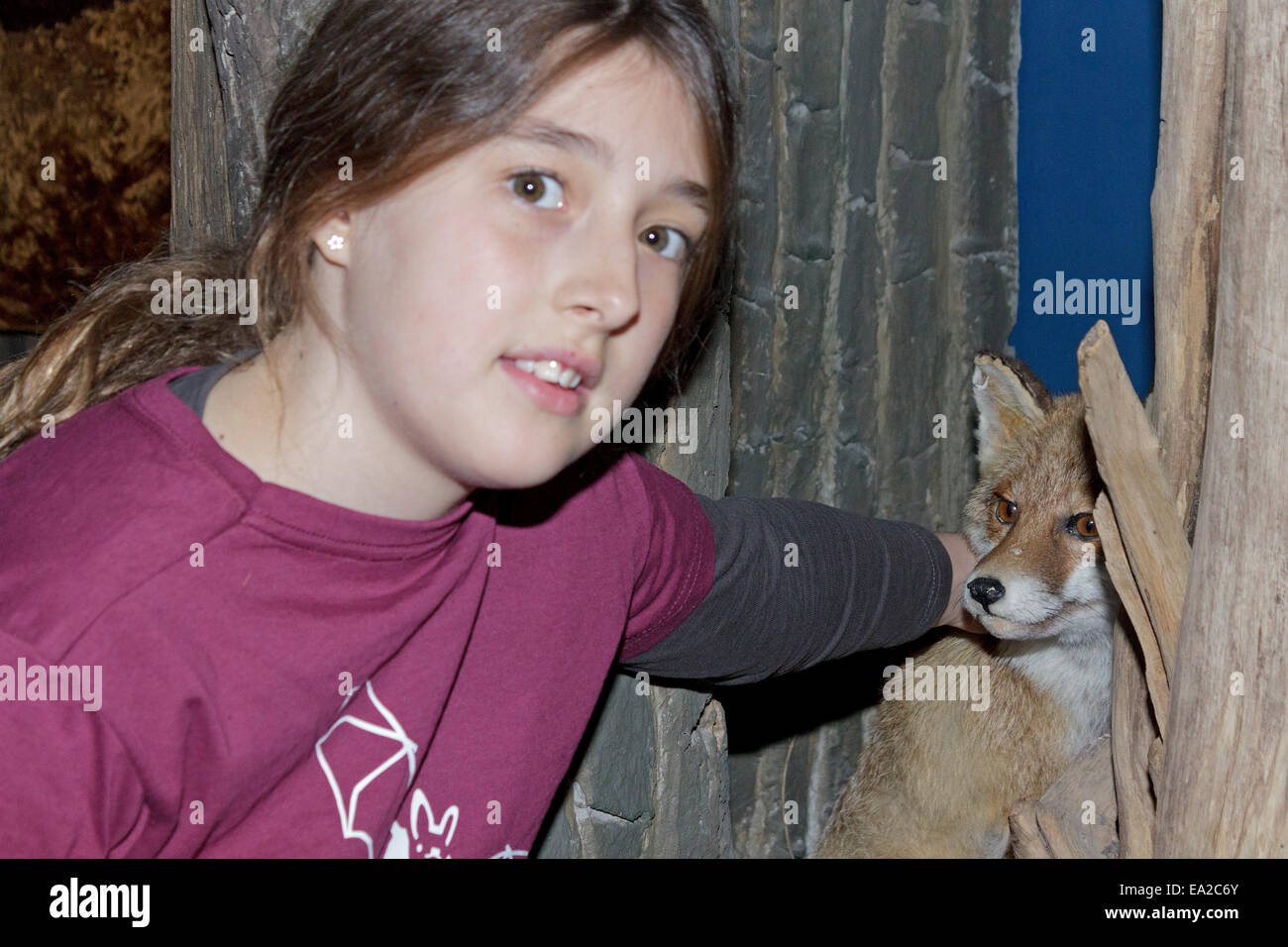 young girl at the bat centre 'Noctalis', Bad Segeberg, Schleswig-Holstein, Germany Stock Photo