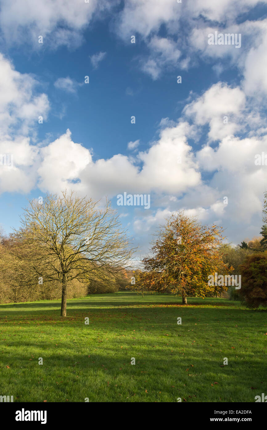The final throws of autumn at Golden Acre park, Leeds. Stock Photo
