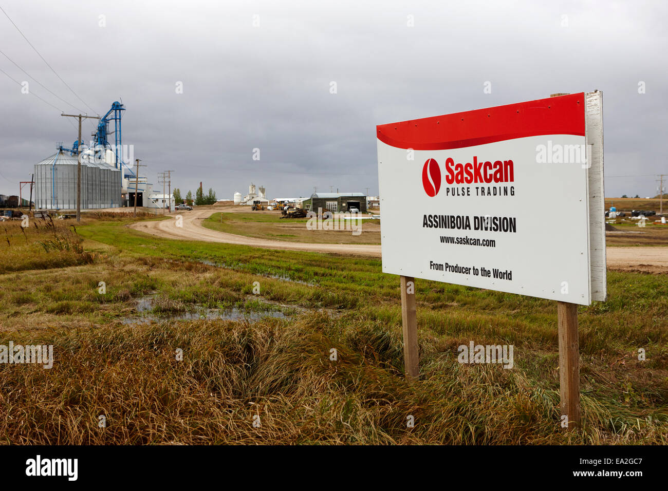 saskcan pulse trading assiniboia division Saskatchewan Canada Stock Photo