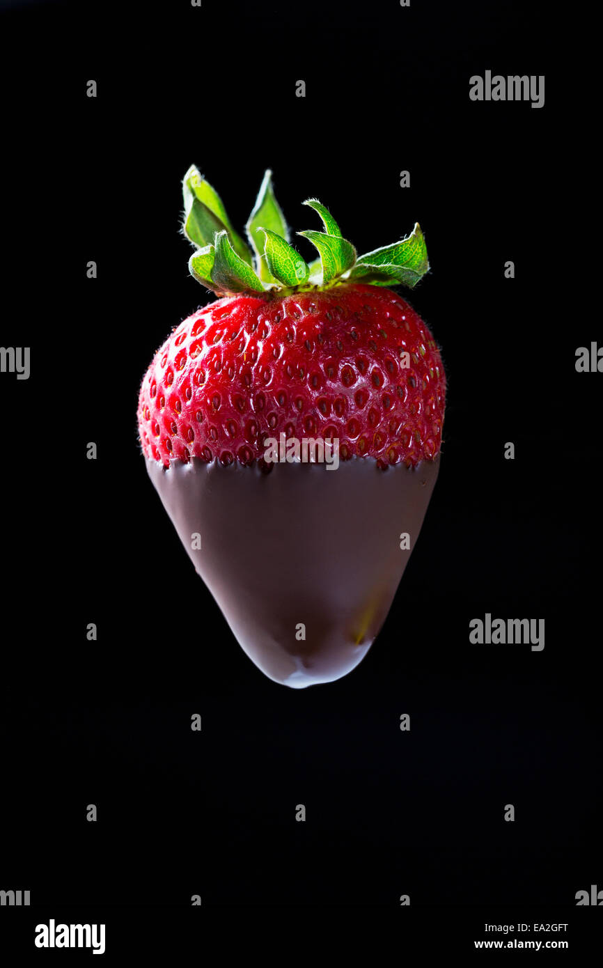 Close up of a half chocolate dipped strawberry on black background