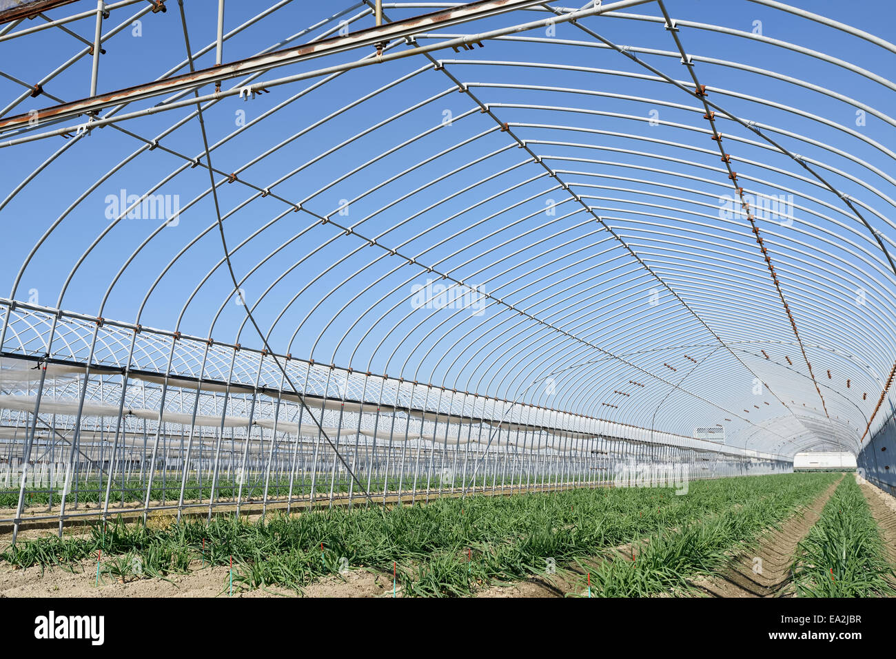 Agricultural building for farming of vegetables Stock Photo Alamy