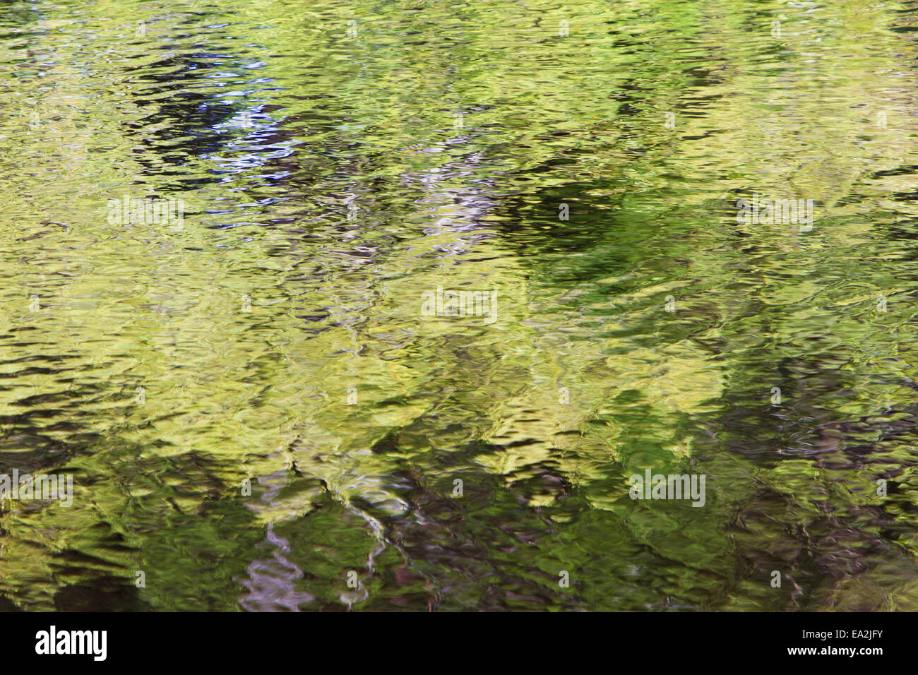 Reflections of trees on water. Stock Photo