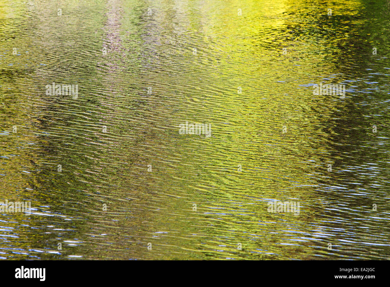 Reflections in the water of trees in the background Stock Photo - Alamy