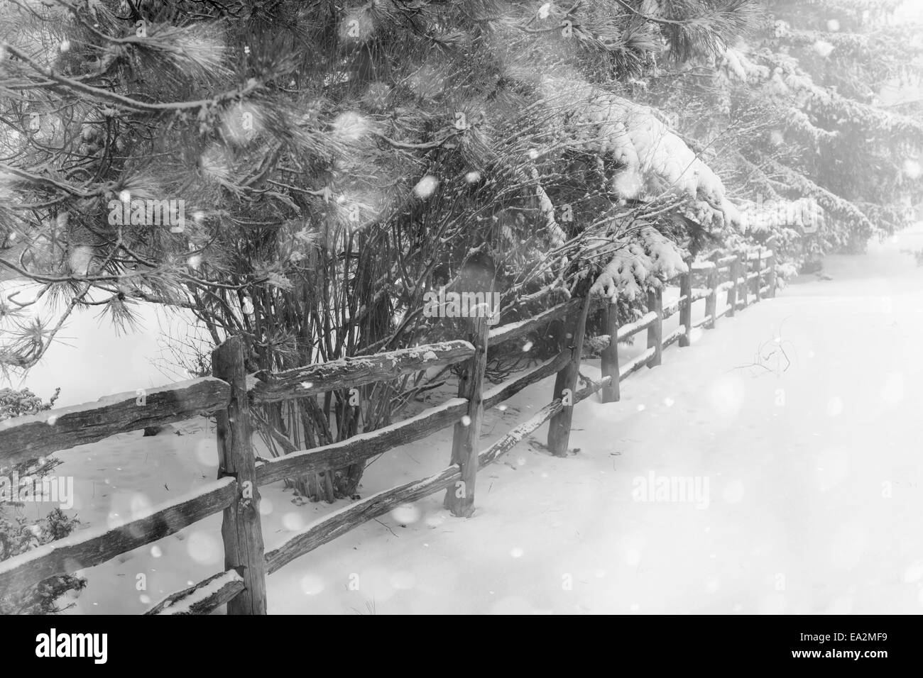 Black and white winter landscape with rural fence and falling snow