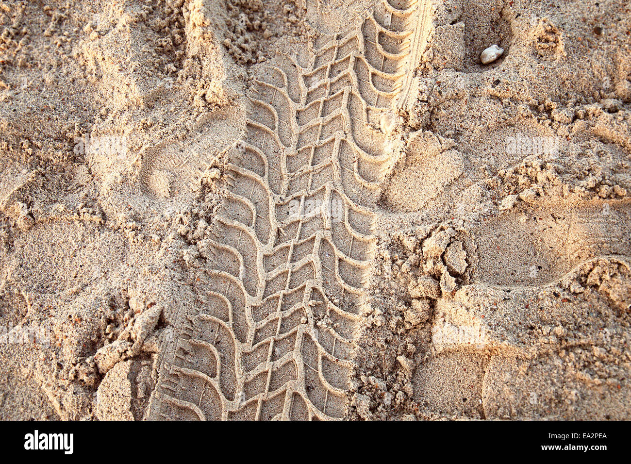 Tire ruts imprinted in the sand. Stock Photo