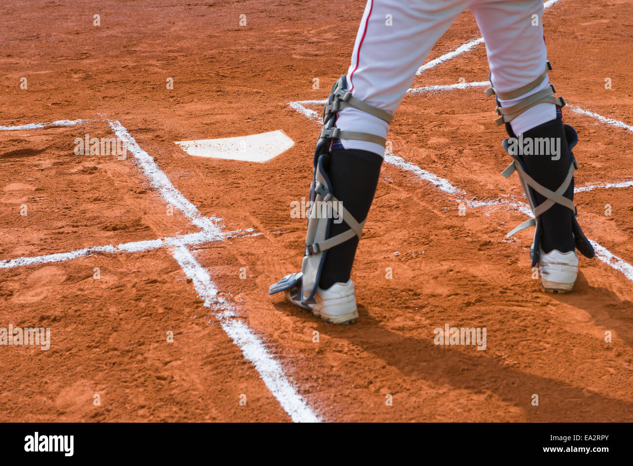 catcher standing on catcher's box in a baseball game Stock Photo Alamy