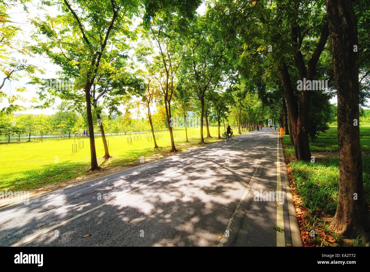 Green city park sunrise beam hi-res stock photography and images - Alamy