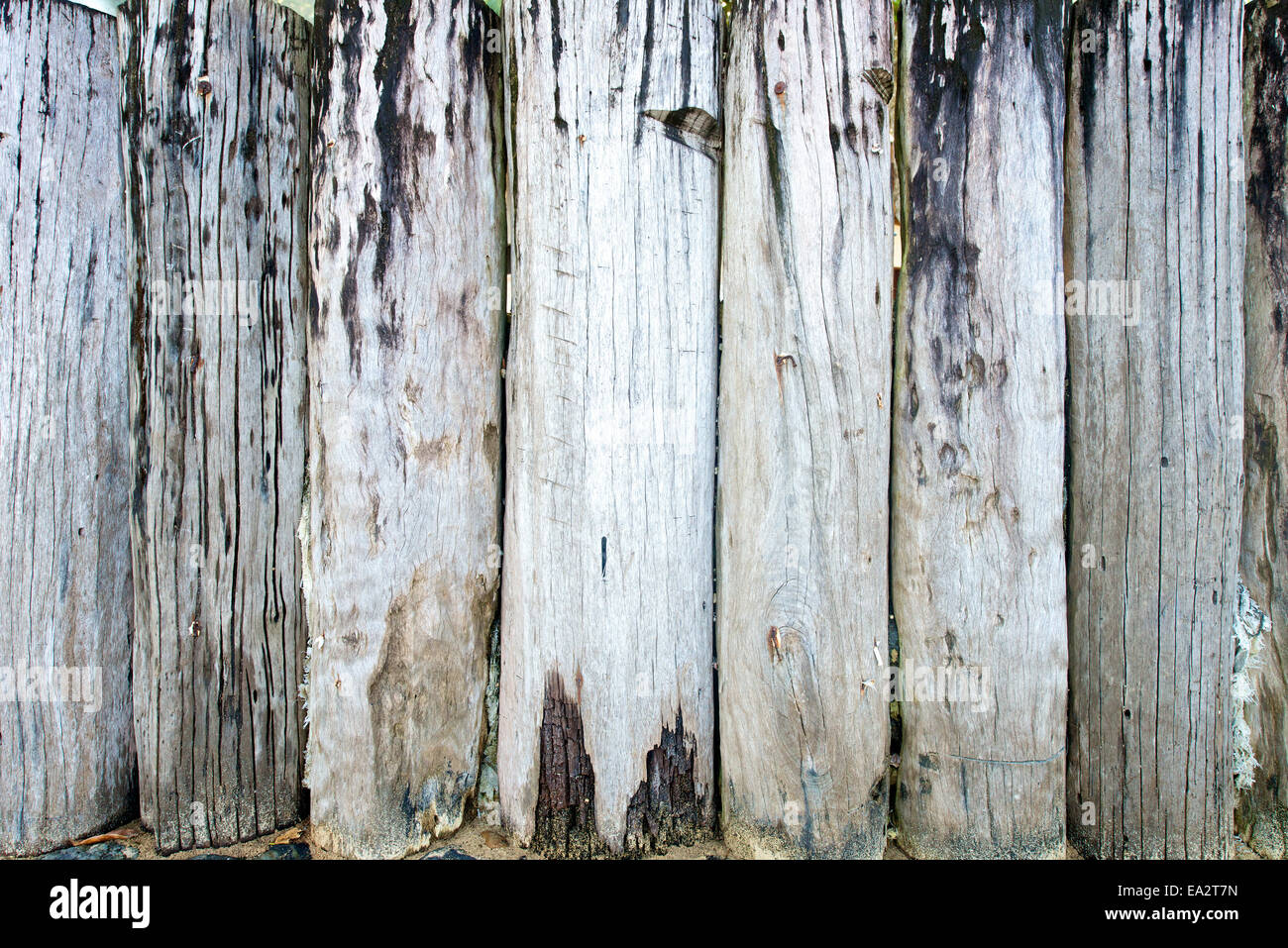 Natural Wood Panel texture as pattern background Stock Photo