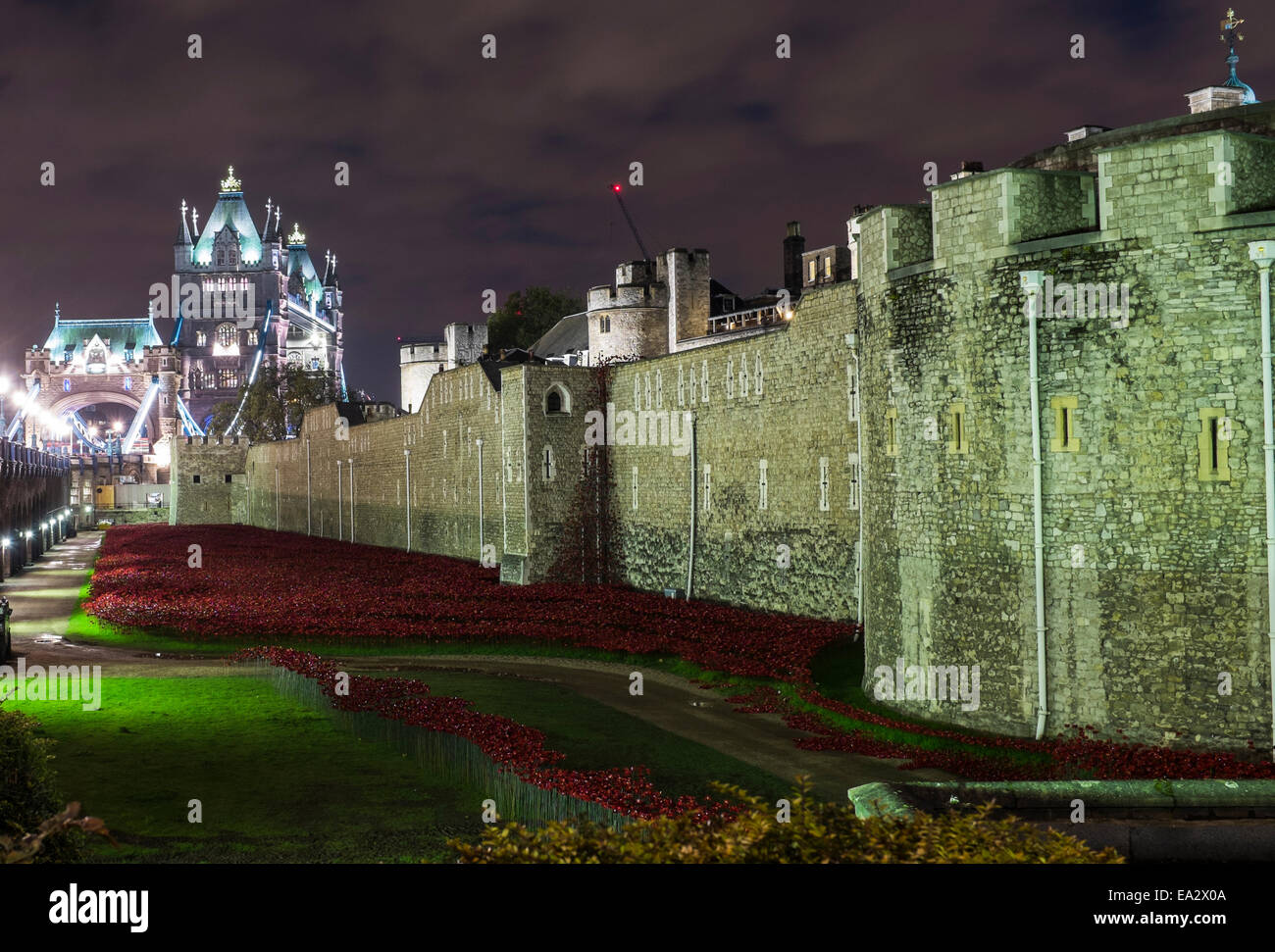 Blood Swept Lands And Seas Of Red at Night Stock Photo