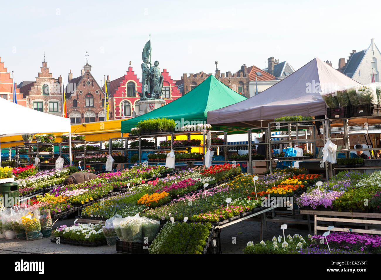 Flower Market in the historic Market Square, Bruges, Belgium, Europe