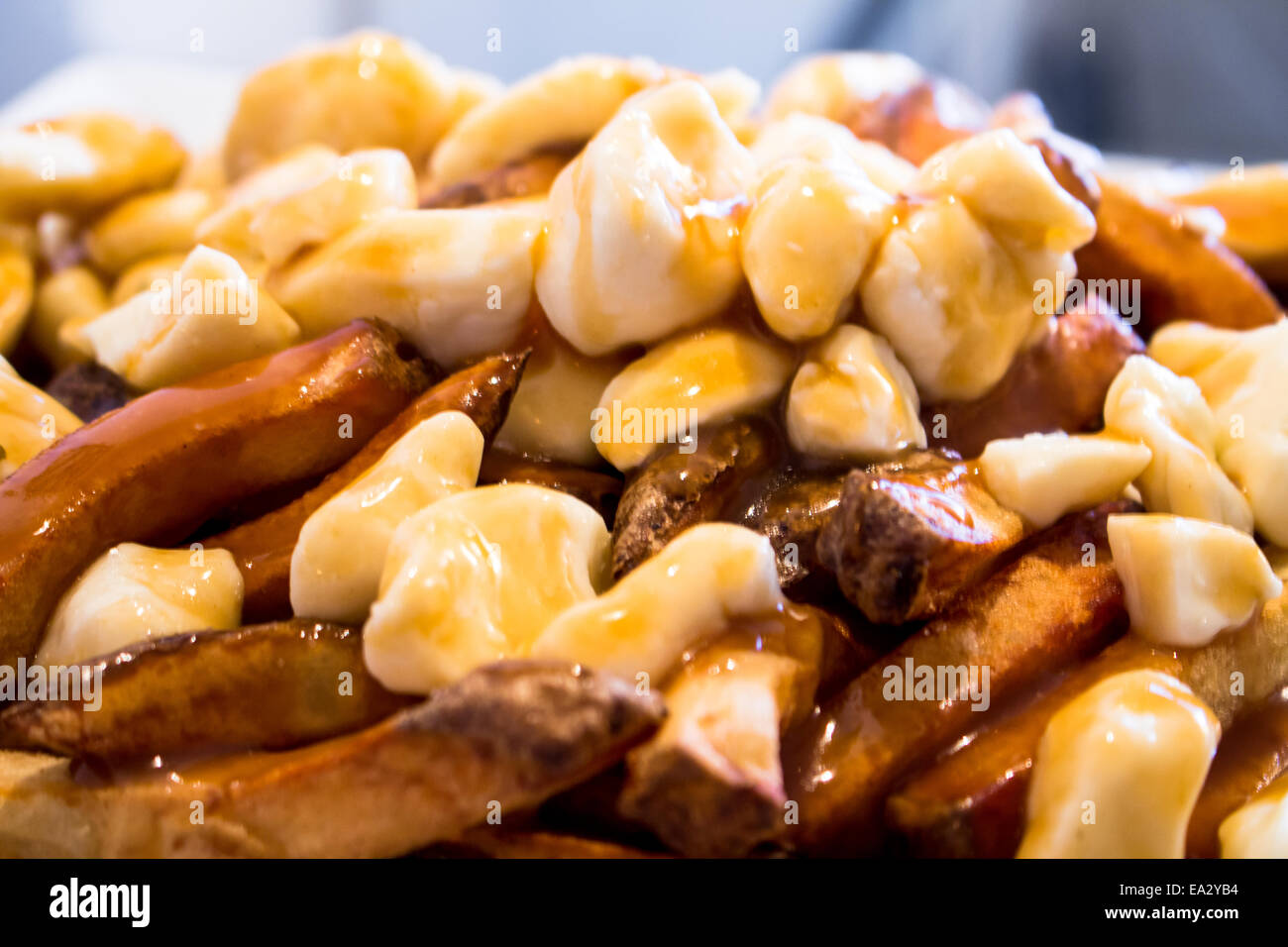 Homemade Poutine Stock Photo