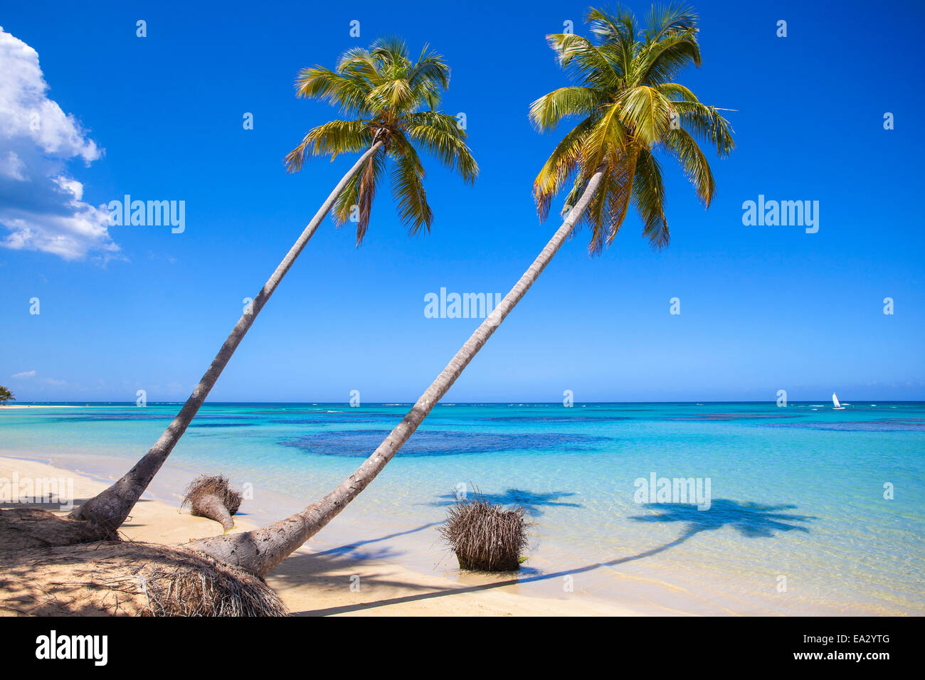El Portillo Beach, Las Terrenas, Samana Peninsula, Dominican Republic, West  Indies, Caribbean, Central America Stock Photo - Alamy