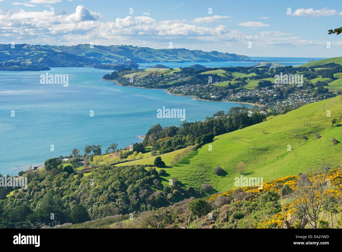 Otago Peninsula, Otago, South Island, New Zealand, Pacific Stock Photo