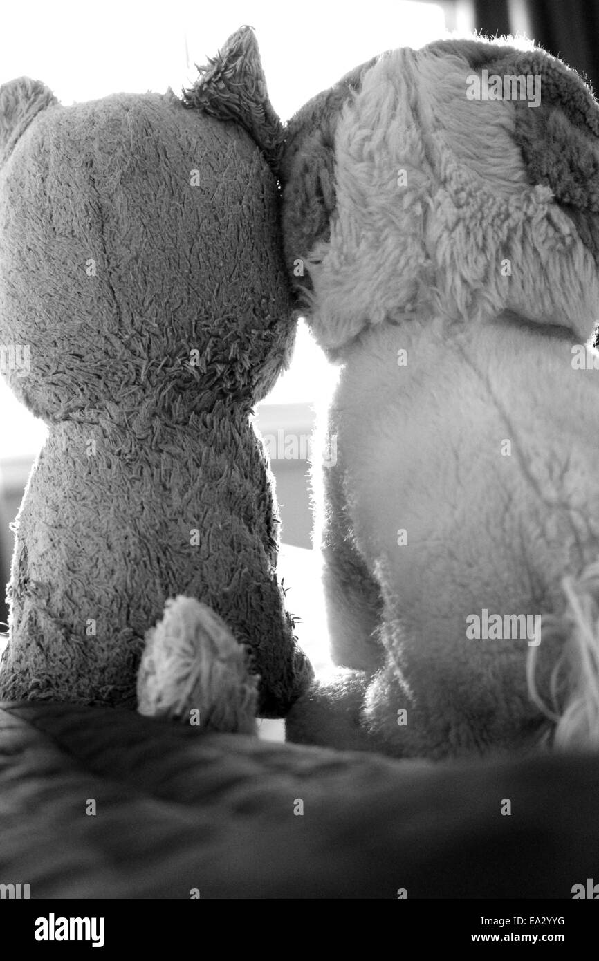 Stuffed Animals Together Stock Photo