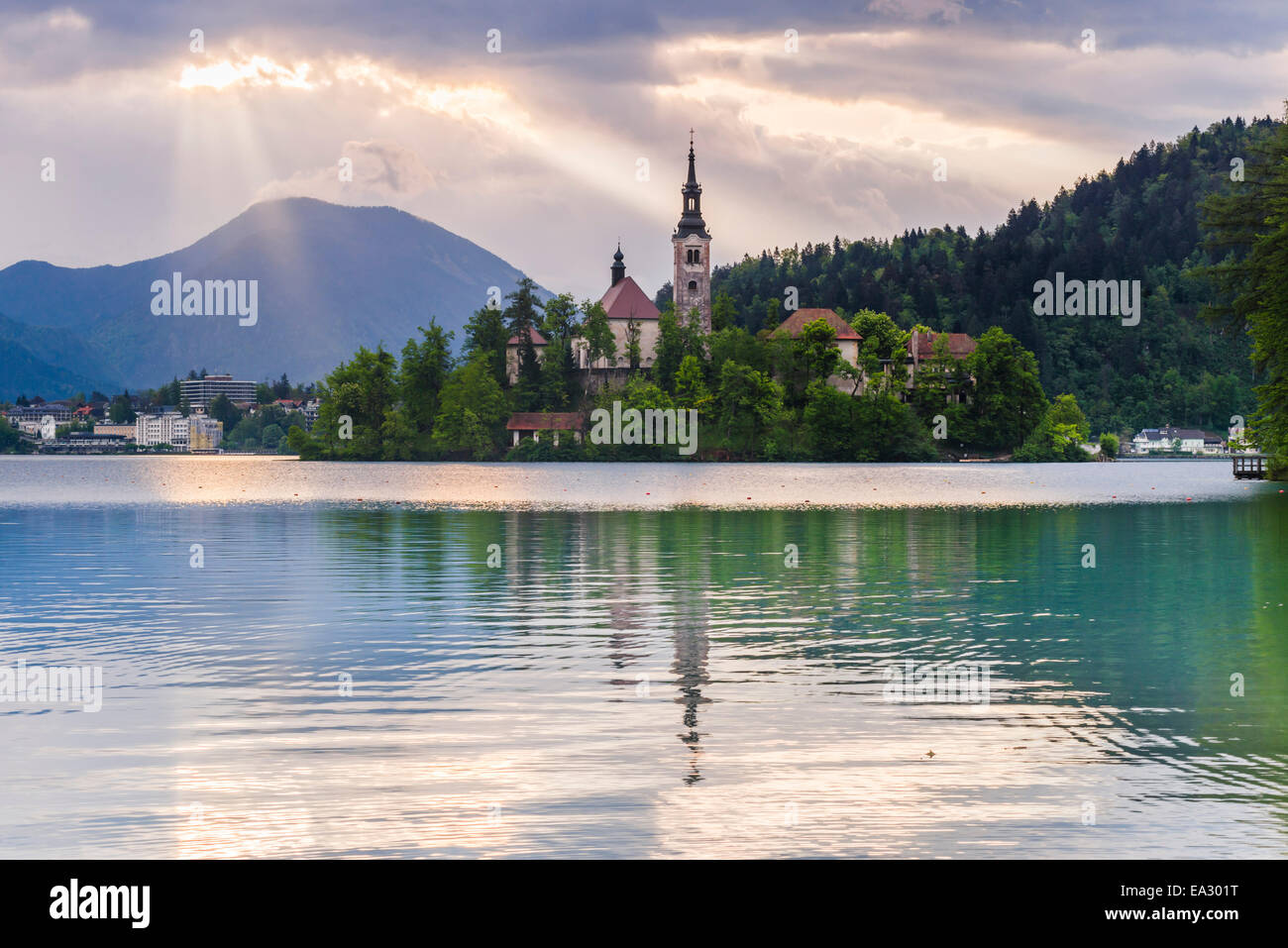 Lake Bled sunrise landscape, showing Lake Bled Church on the Island, Gorenjska Region, Slovenia, Europe Stock Photo