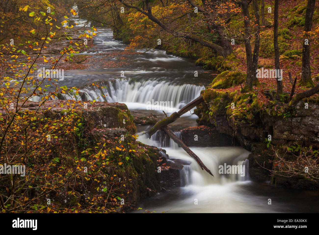 Horseshoe Falls, near Pontneddfechan, Brecon Beacons National Park