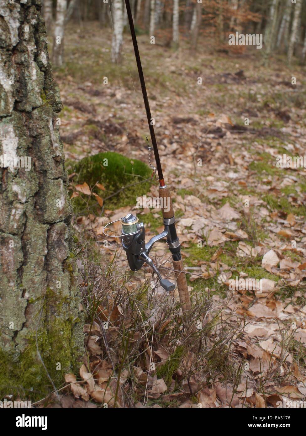 the forest fishing rod