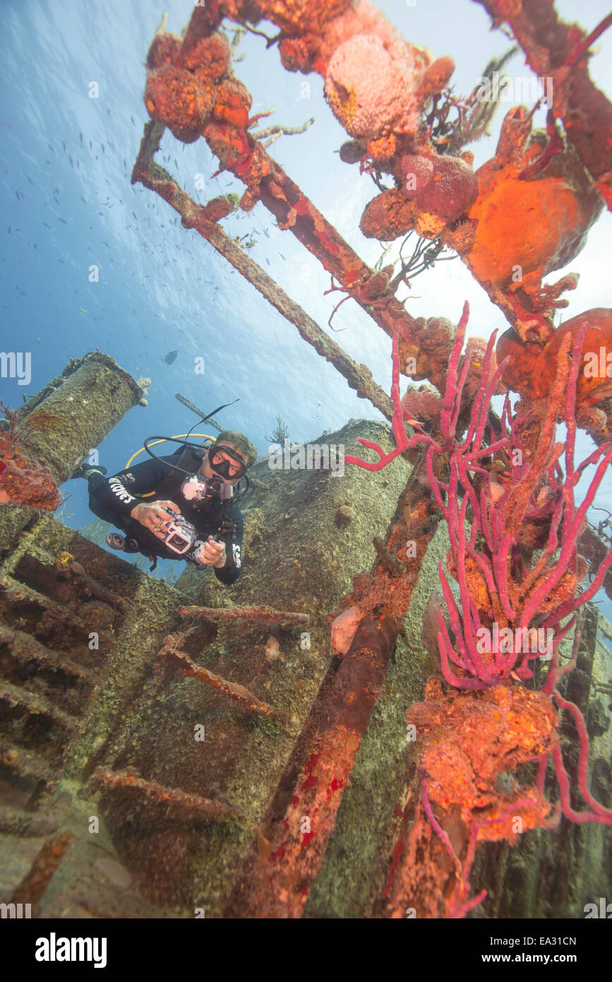 Wreck diving on the Hamel Wreck in Bahamas, West Indies, Central America Stock Photo