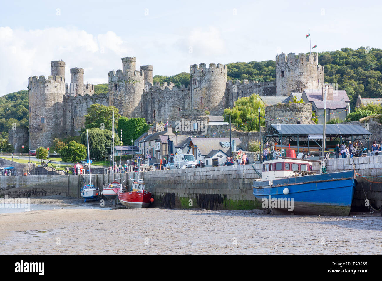 Conwy Castle, UNESCO World Heritage Site, and harbour, Conwy, Wales, United Kingdom, Europe Stock Photo