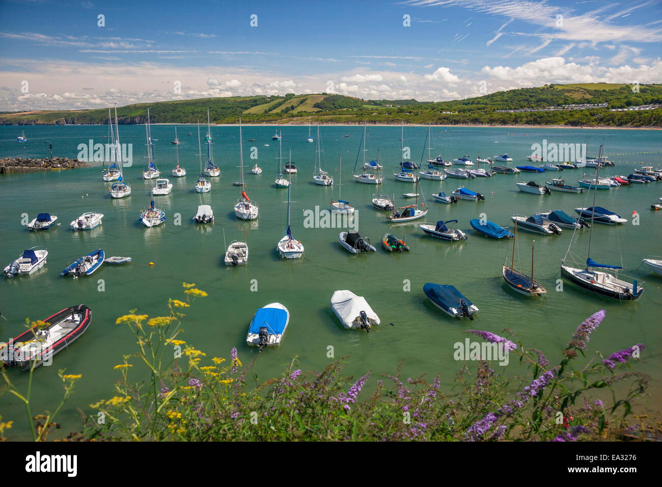 New Quay, Ceredigion, Dyfed, West Wales, Wales, United Kingdom, Europe Stock Photo