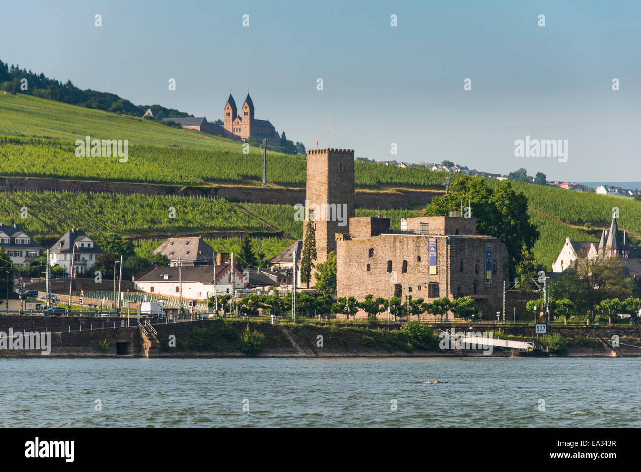 View over the Bruemserburg in Ruedesheim on the River Rhine, Rhine Gorge, UNESCO World Heritage Site, Hesse, Germany, Europe Stock Photo