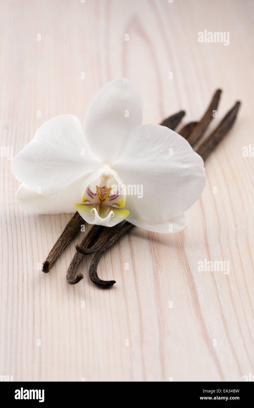 Vanilla pods and flower Stock Photo Alamy