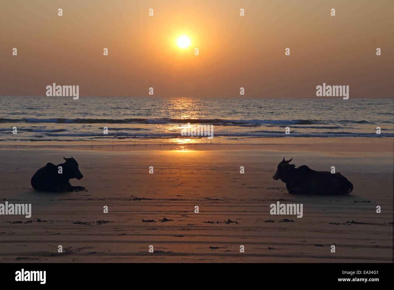 Sunset at an indian beach Stock Photo