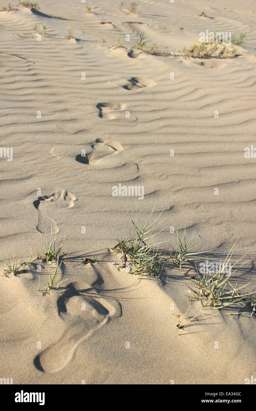 Footprints in a desert Stock Photo