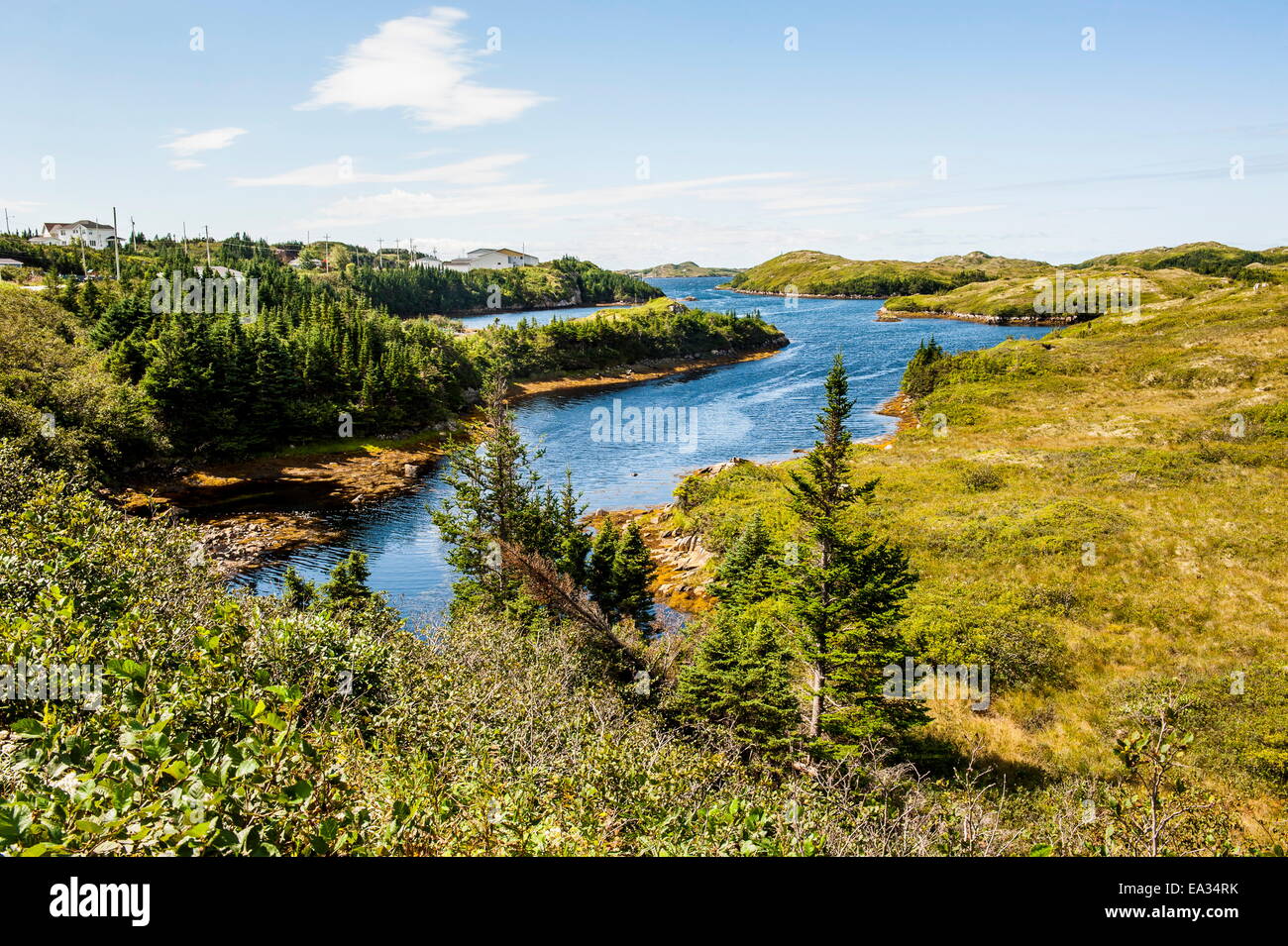 Beautiful pond near Port aux Basques, Newfoundland, Canada, North