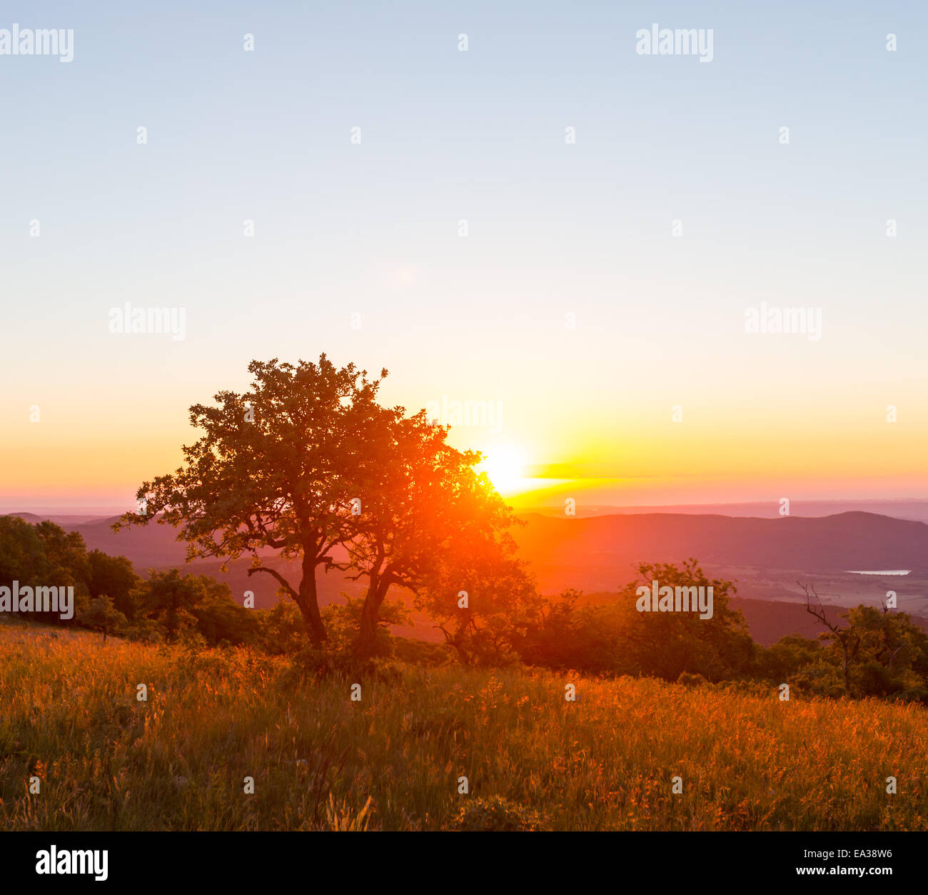 Meadow on sunset Stock Photo - Alamy