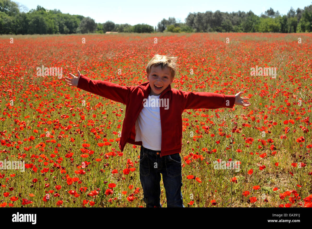 Poppy Field In Spring Stock Photo - Alamy