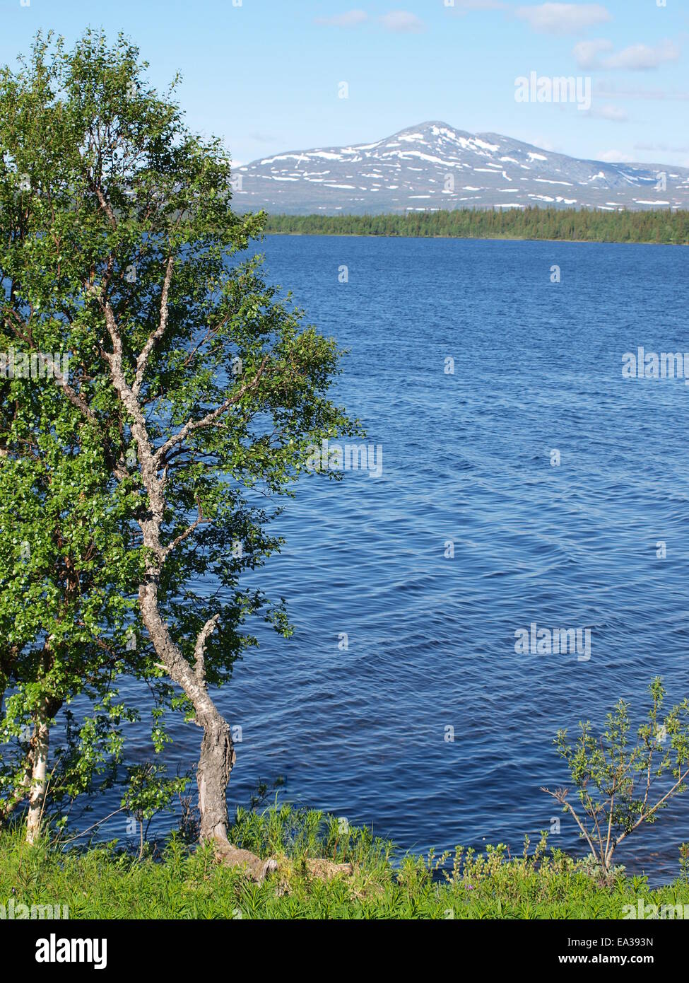 Mountain region between norway andsweden Stock Photo