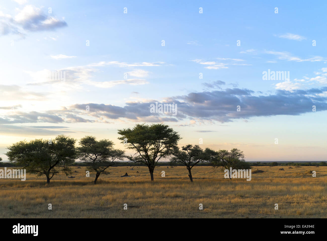 Early morning Stock Photo