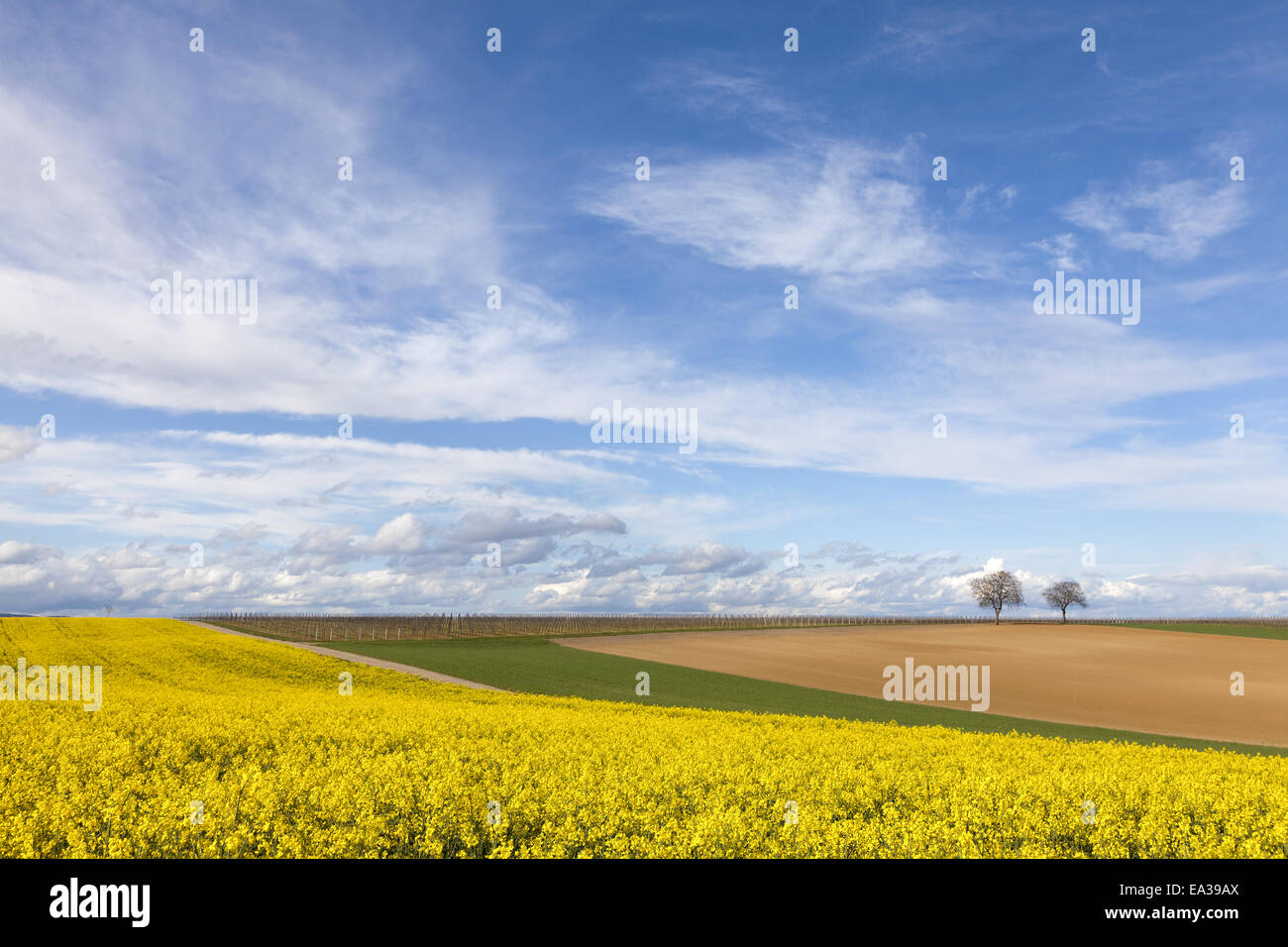 Stock Spring Landscape Landscape in spring Stock Photo - Alamy