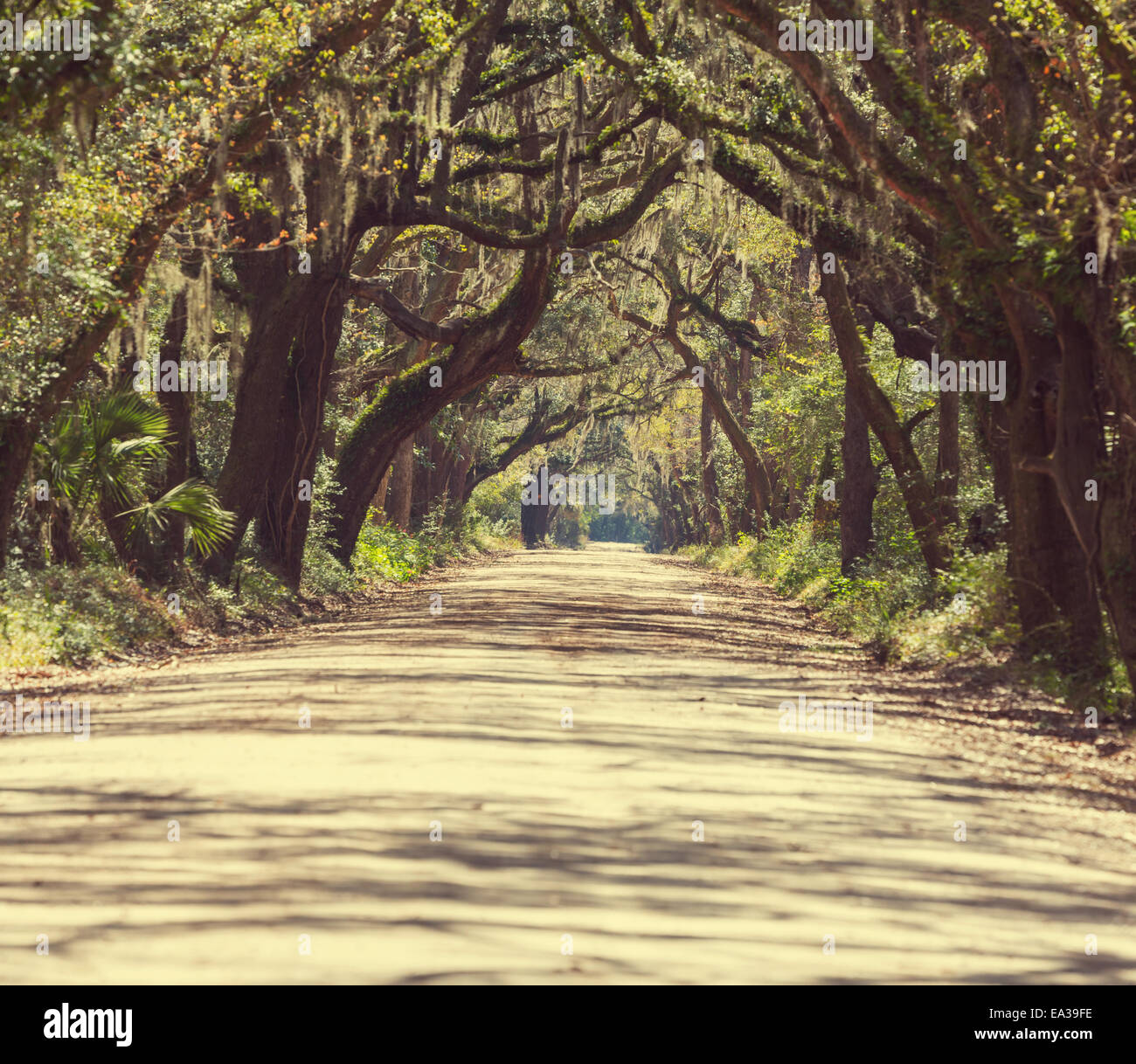 Alley m hi-res stock photography and images - Alamy