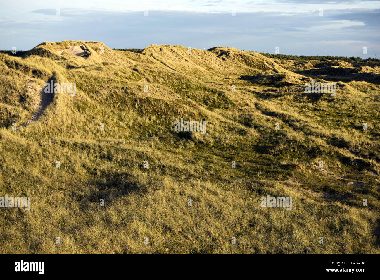 Dunes Stock Photo